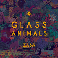 Glass Animals Albumart