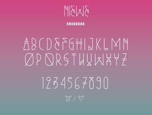 Collective50_Niewe
