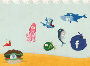 Collective50_SocialFish