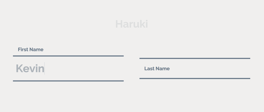 TextInputEffects_Haruki