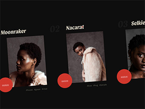 Collective 640 Item image